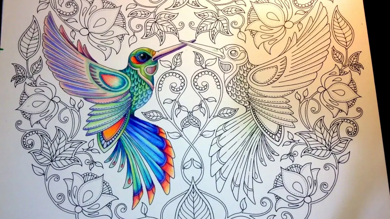 top 20 coloring books for adults